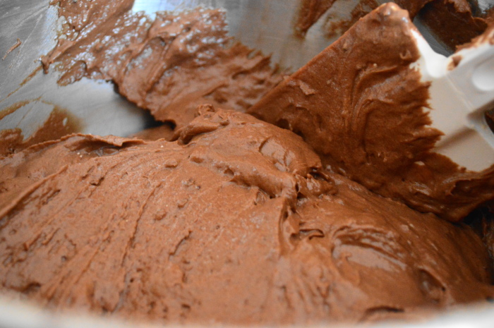The chocolate red wine cake batter. 