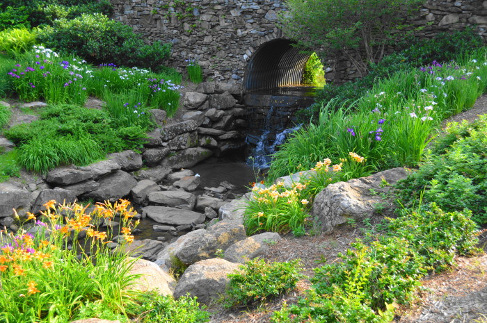 Pretty little stream in Falls Park. It looks like something out of The Shire! 