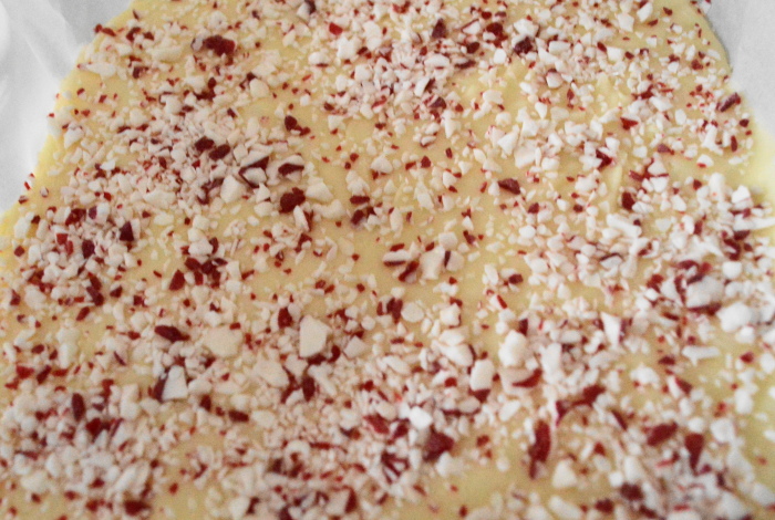 Extreme close up on the gorgeously encrusted white chocolate peppermint fudge!
