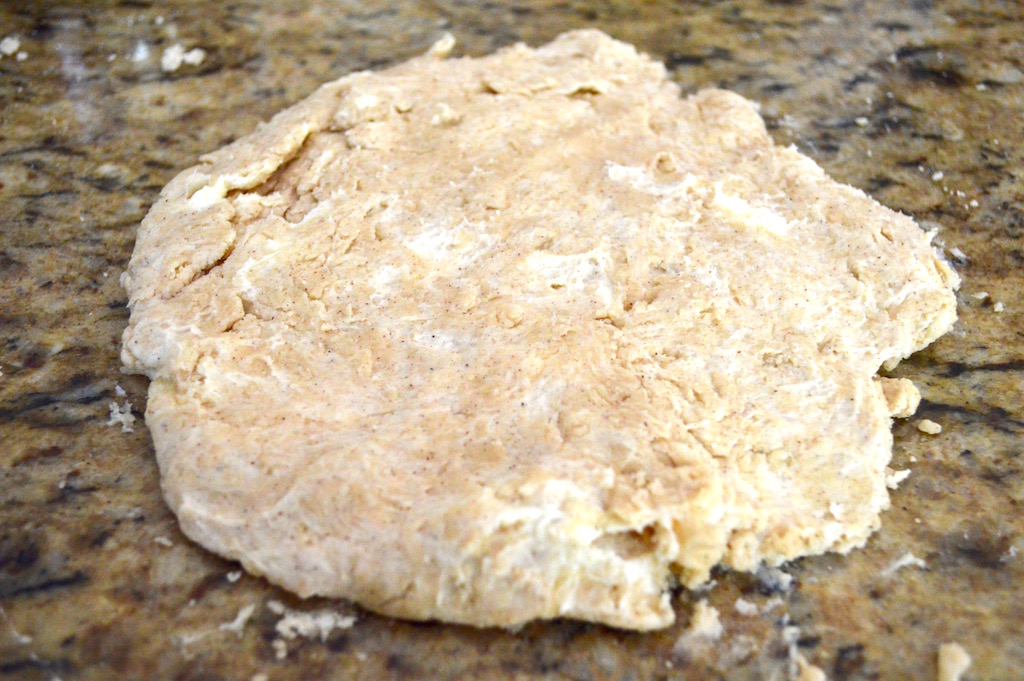 The dough was a basic pie dough that I jazzed up with a little cinnamon. I made sure that everything was cold so that when it hit the oven it would become super flaky. Once I made it, it needed to rest and chill as well for about 30 minutes. 