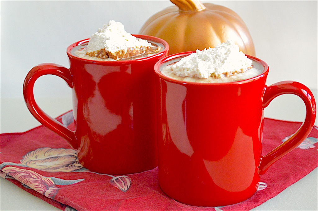 Slow Cooker Pumpkin Spiced Hot Cocoa