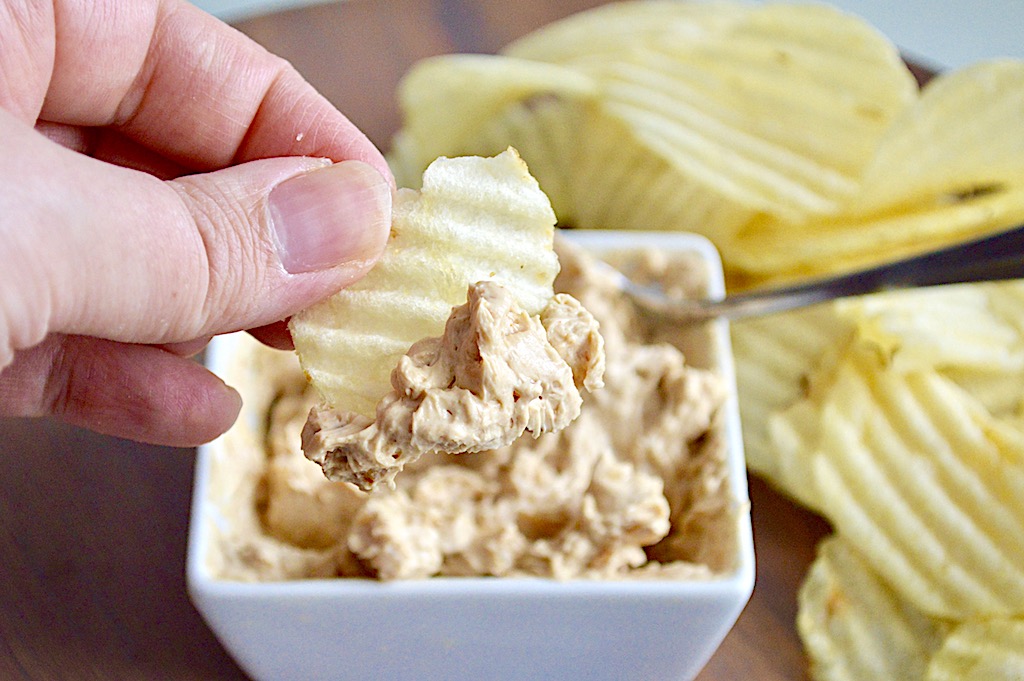 Amazing Onion Dip