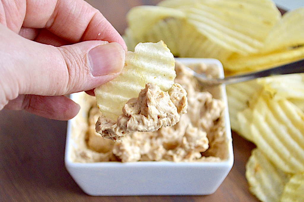 Amazing Onion Dip