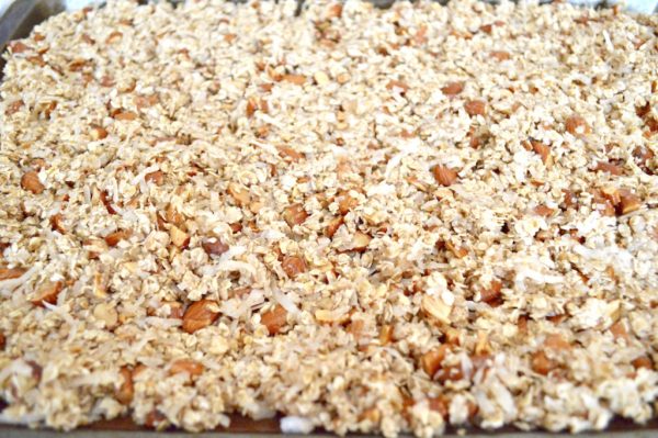 Coconut Pineapple Granola – Jeanie and Lulu's Kitchen